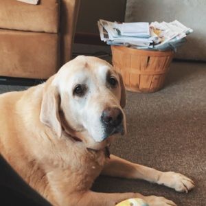 Meet your Posher, Macy